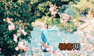 关关雎鸠全文朗诵 诗经关雎全文及译文