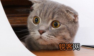 发现的意思 有关发现的意思