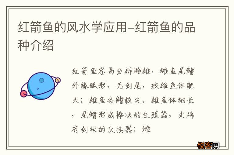 红箭鱼的风水学应用-红箭鱼的品种介绍