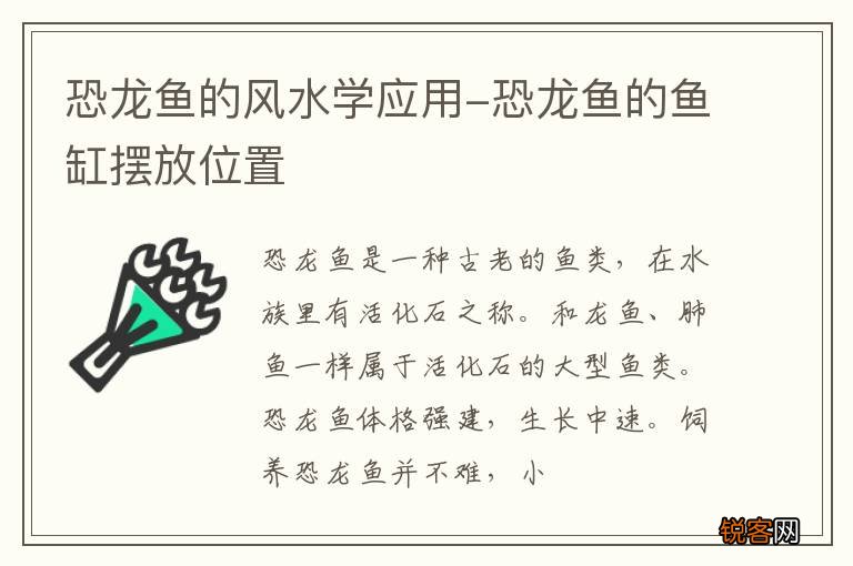 恐龙鱼的风水学应用-恐龙鱼的鱼缸摆放位置