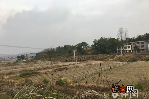 农村宅基地女儿有继承权吗 农村宅基地女儿有继承权吗