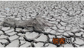 竭泽而渔的意思解释 竭泽而渔的意思