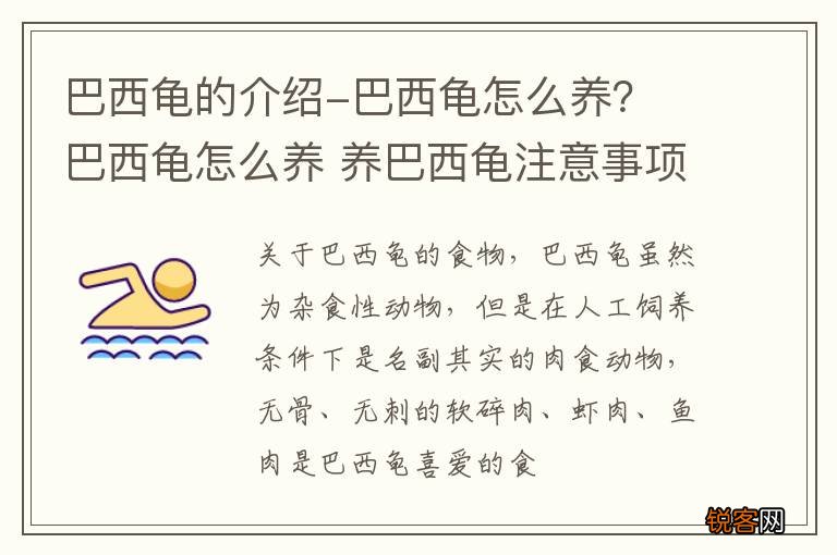 巴西龟的介绍-巴西龟怎么养？ 巴西龟怎么养 养巴西龟注意事项