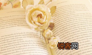 吃苦在先享受在后的意思 吃苦在先享受在后的解释