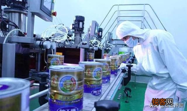 幼儿喝的羊奶粉哪种牌子好？