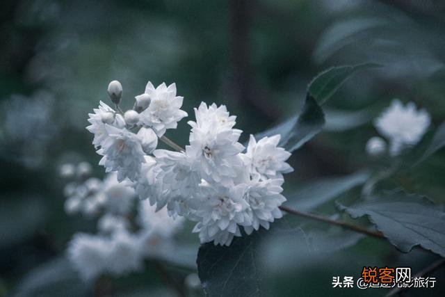 摄影艺术作品在颜色搭配方面有什么技巧？