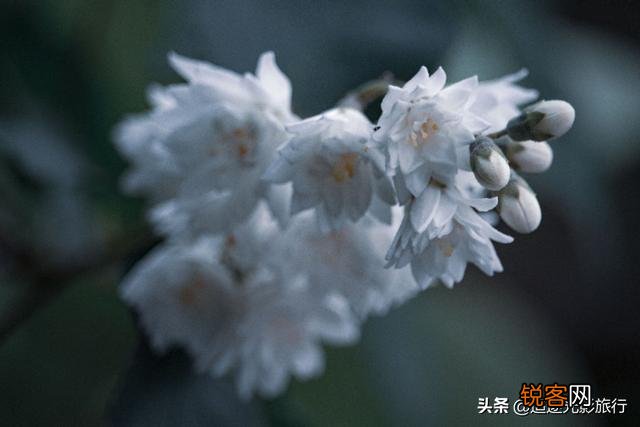摄影艺术作品在颜色搭配方面有什么技巧？
