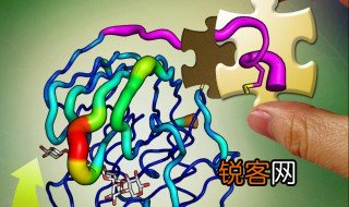 酶的化学本质是 酶的化学本质是什么？