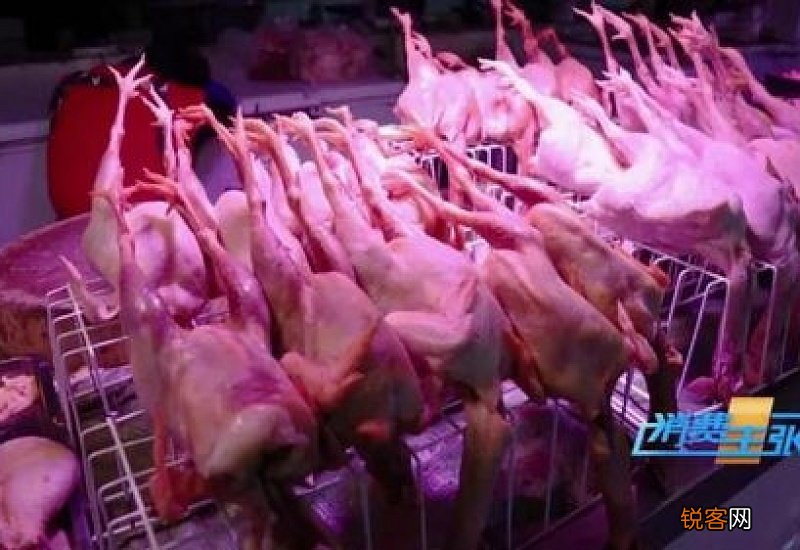 鸡肉价格降了多少11月