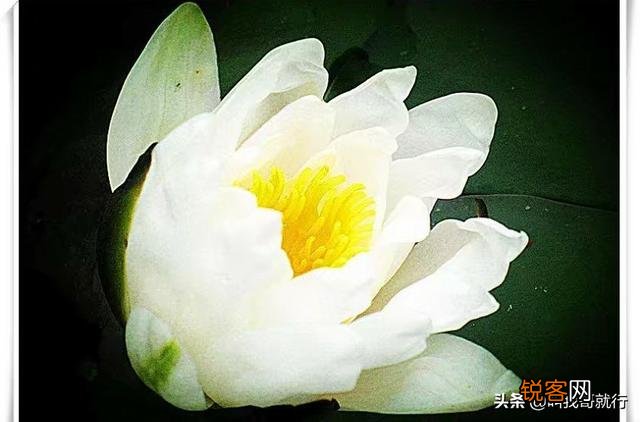 那些年,有哪些难忘的港台歌曲？