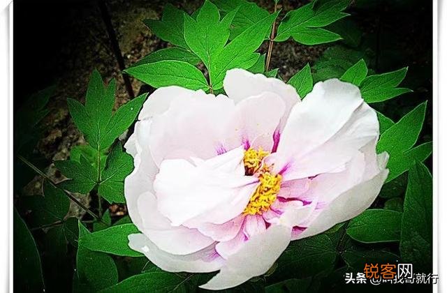 那些年,有哪些难忘的港台歌曲？