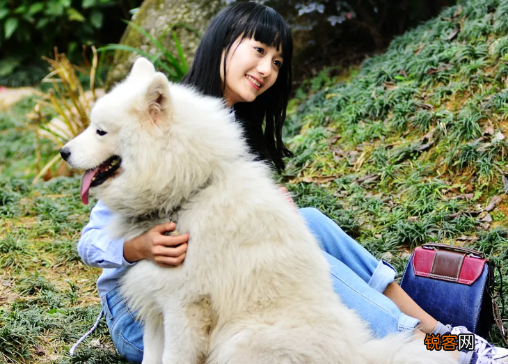 女主人喜欢养大型犬的原因 体型大，有安全感