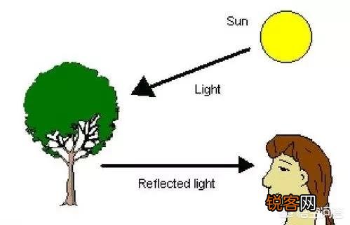 有哪些值得安利的名画配色穿搭方案？