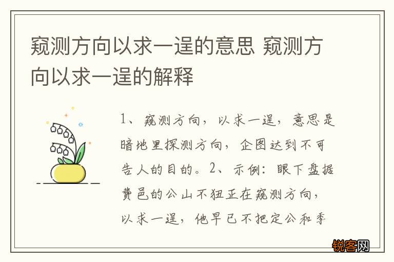 窥测方向以求一逞的意思 窥测方向以求一逞的解释