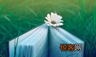 窥测方向以求一逞的意思 窥测方向以求一逞的解释