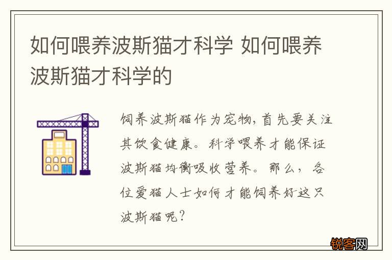 如何喂养波斯猫才科学 如何喂养波斯猫才科学的