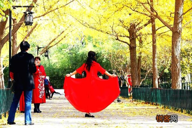 人像摄影搭配哪些颜色,可以体现出明媚、时尚、洋气、优雅？