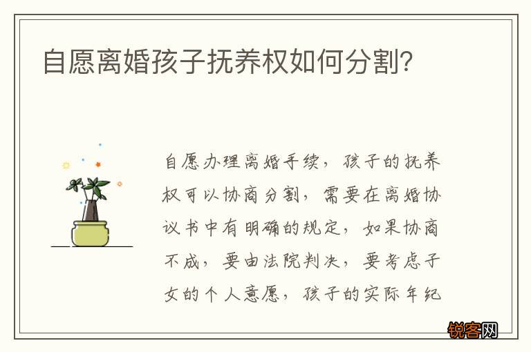 自愿离婚孩子抚养权如何分割？