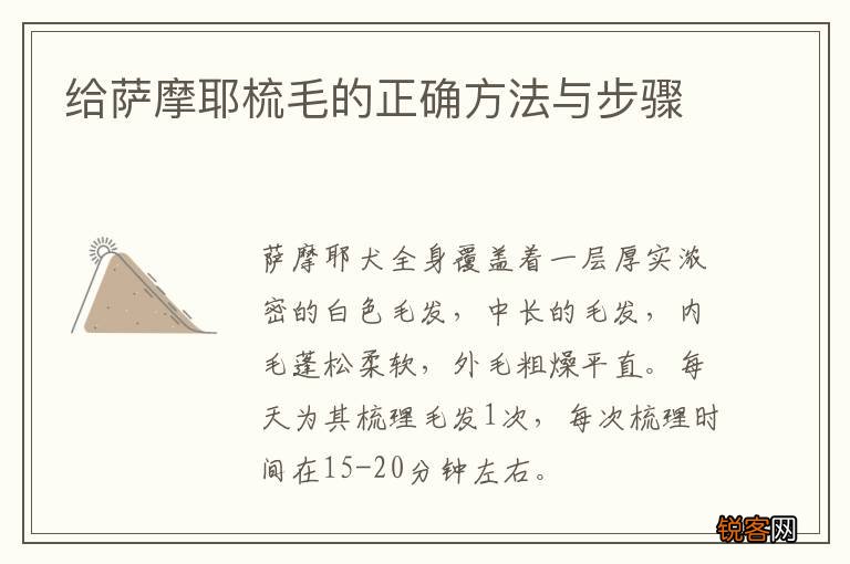 给萨摩耶梳毛的正确方法与步骤