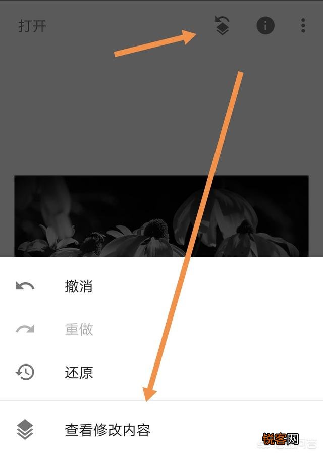 拍摄花朵,应该怎么搭配色彩？
