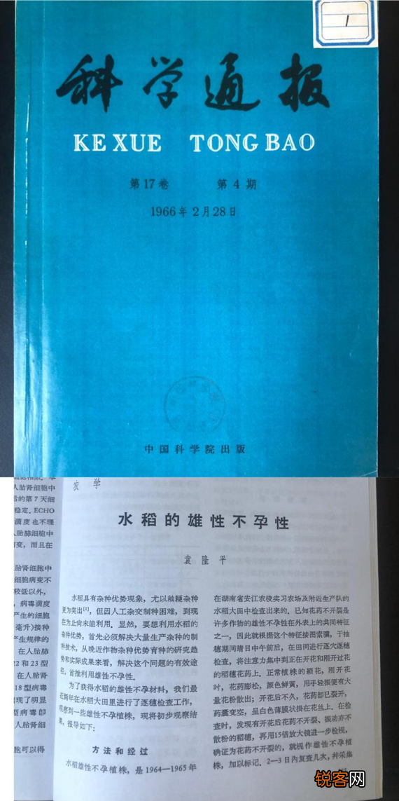 袁隆平论文原始手稿写了啥 手写汉字整洁
