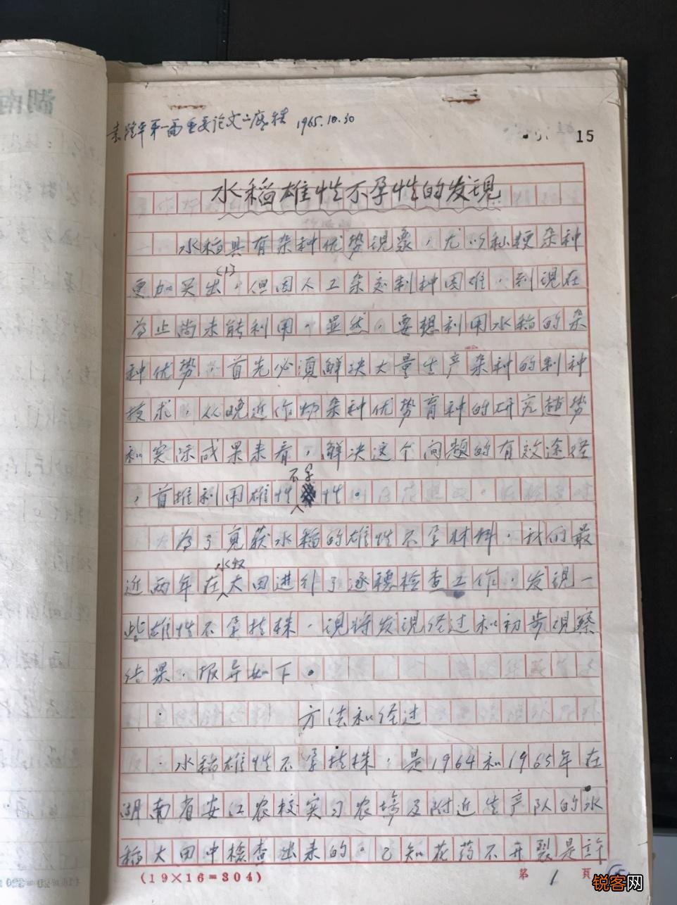 袁隆平论文原始手稿写了啥 手写汉字整洁
