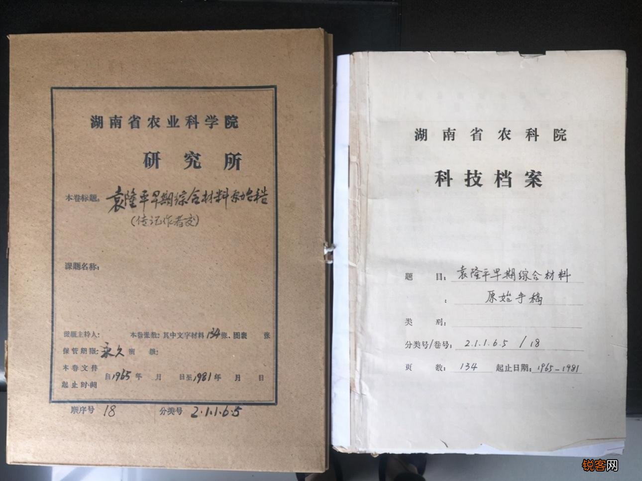 袁隆平论文原始手稿写了啥 手写汉字整洁