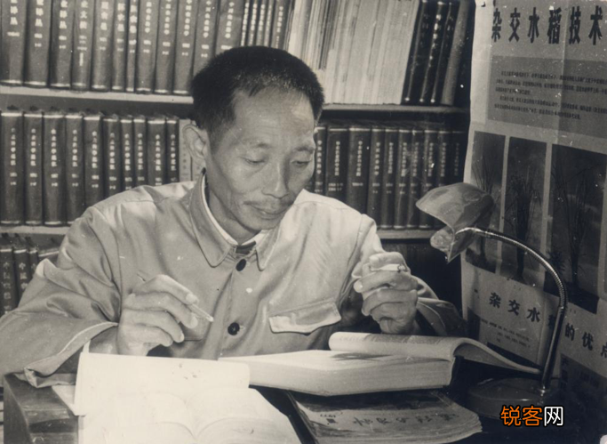 袁隆平论文原始手稿写了啥 手写汉字整洁