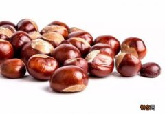 板栗的营养有哪些价值 吃板栗的注意事项有哪些