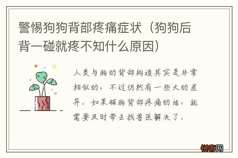 狗狗后背一碰就疼不知什么原因 警惕狗狗背部疼痛症状