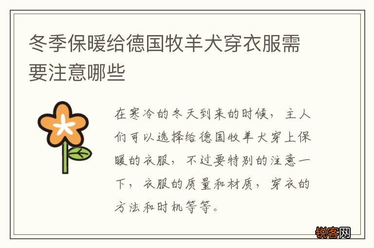 冬季保暖给德国牧羊犬穿衣服需要注意哪些