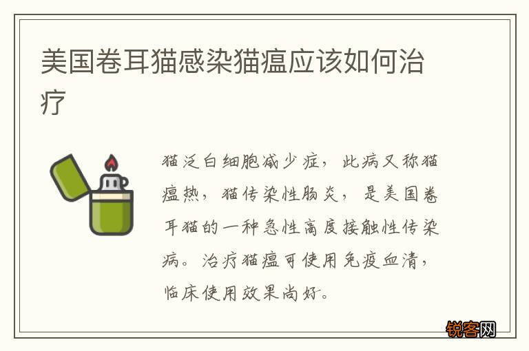 美国卷耳猫感染猫瘟应该如何治疗