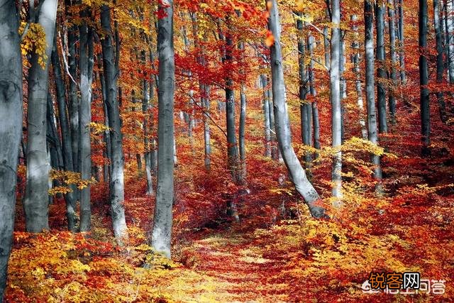 摄影构图时,如何搭配好画面中的色彩？