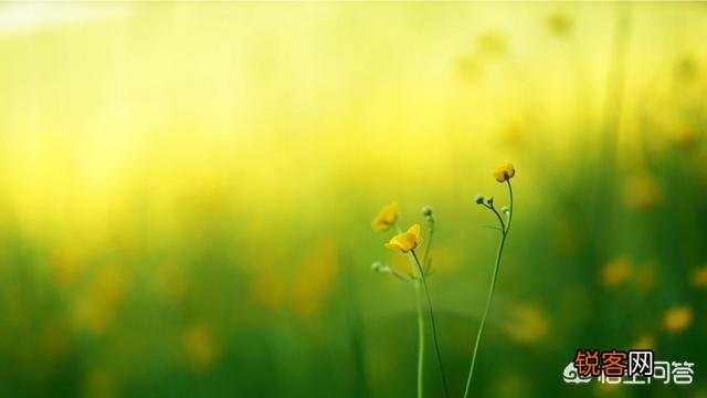 摄影构图时,如何搭配好画面中的色彩？