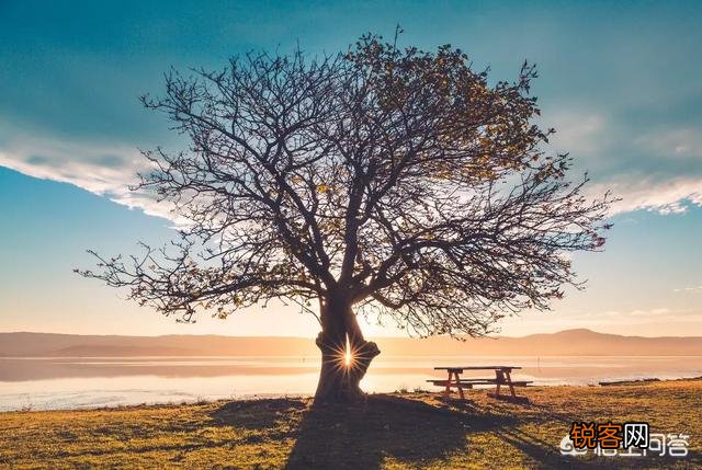 摄影构图时,如何搭配好画面中的色彩？