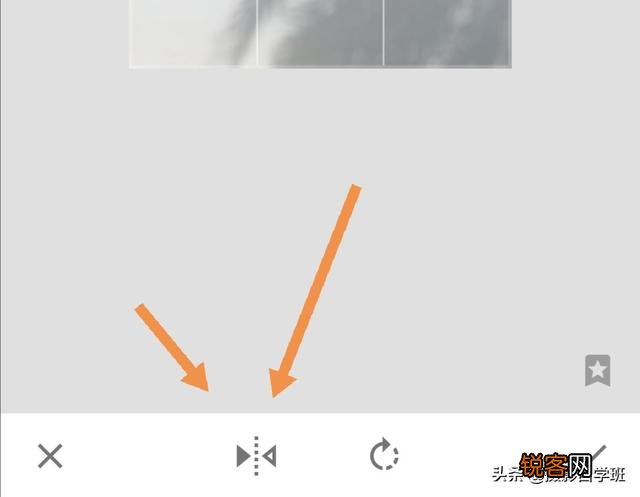 在家中摄影,咋能拍好花朵的照片？