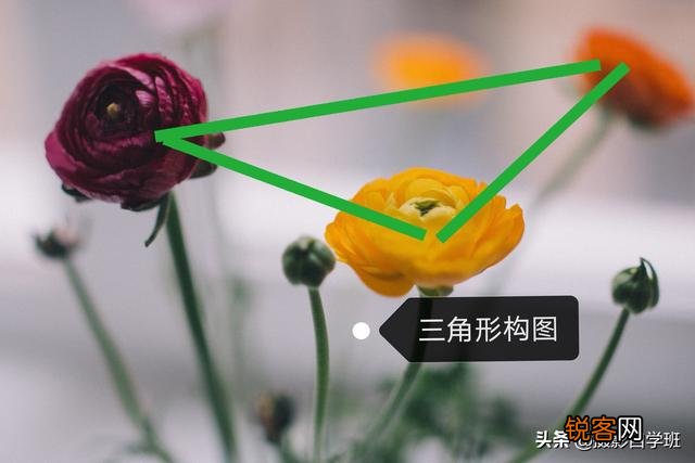 在家中摄影,咋能拍好花朵的照片？