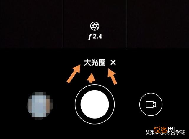 在家中摄影,咋能拍好花朵的照片？