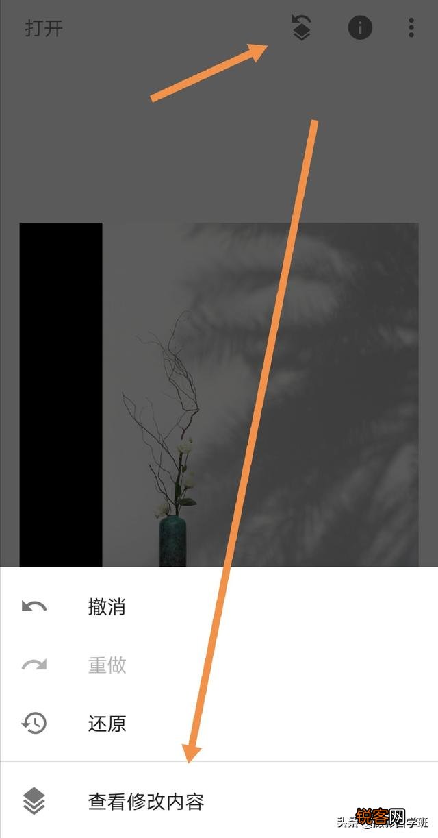 在家中摄影,咋能拍好花朵的照片？