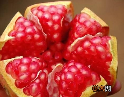 怎样给盆栽石榴浇水？