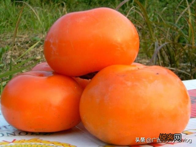 又到柿子上市季节了,如何晒制香甜耐嚼的柿子干？