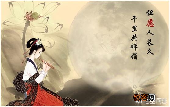 你觉得“但愿人长久,千里共婵娟”,指的是分别的凄凉还是思念的温馨呢？为什么？