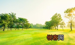 光合作用化学方程式 光合作用需要具备什么条件