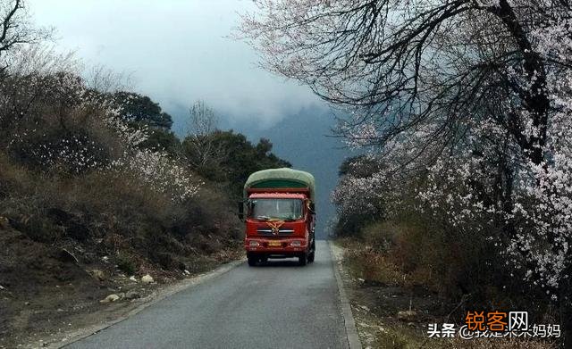 人可以怯懦到什么程度？