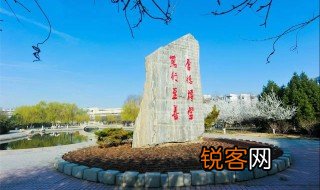 山东理工大学是几本 一本二本如何区分