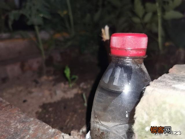 因事外出时盆花无人浇水怎么办？