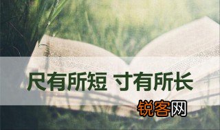 寸有所长尺有所短的意思诗句 寸有所长尺有所短的意思