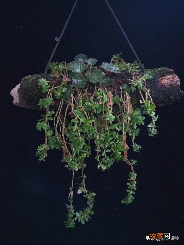 废旧物品应该怎么利用？