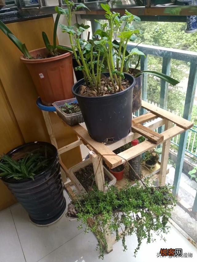 废旧物品应该怎么利用？