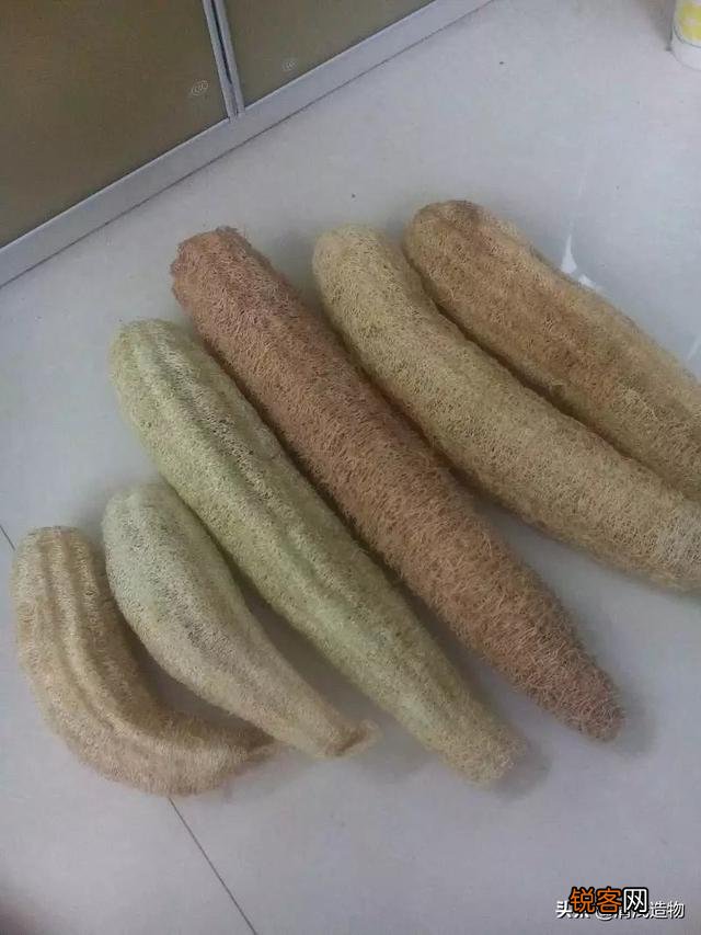 废旧物品应该怎么利用？